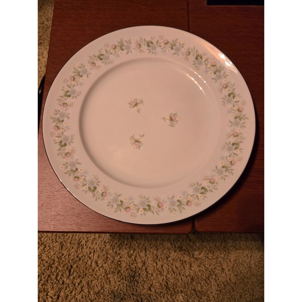 Johann Haviland Bavaria Germany Floral Dinner Plates Set of 6 Silver Rim Vintage